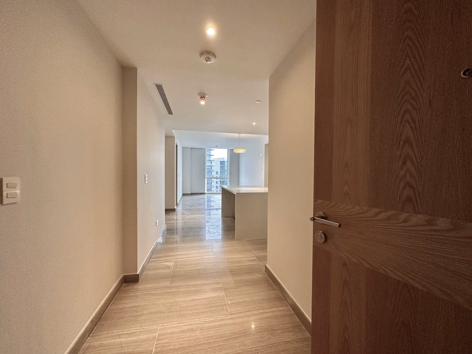 Apartment entrance and interior layout